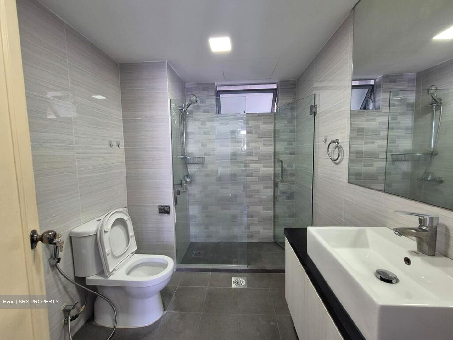 Emerald Park (D3), Condominium #527584631